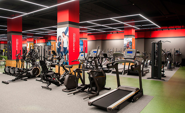 РАСПРОДАЖА тренажеров от Fitness Place