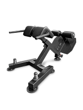 Гиперэкстензия BRONZE GYM PARTNER ML-917