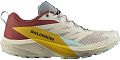 Кроссовки мужские SALOMON SENSE RIDE 5 (Rainy Day/Hots/Frees) - фото № 1