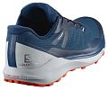 Кроссовки мужские SALOMON SENSE RIDE 3 GTX INVIS. FIT P - фото № 2