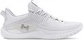 Кроссовки мужские Under Armour UA Flow Dynamic INTLKNT (100) - фото № 1