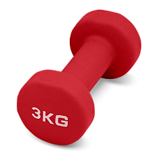 Гантель для аэробики неопреновая PRCTZ NEOPRENE DUMBBELL, 3 кг.