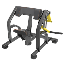 BRONZE GYM PL-1713 Бицепс