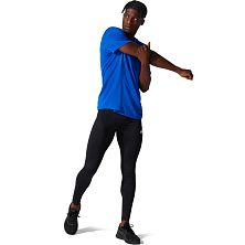 Брюки мужские ASICS CORE TIGHT (Performance Black)