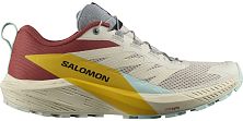 Кроссовки мужские SALOMON SENSE RIDE 5 (Rainy Day/Hots/Frees)