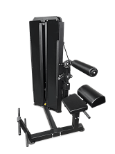 Разгибание спины профессиональный BRONZE GYM PARTNER ML-813