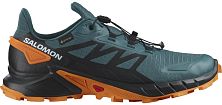 Кроссовки мужские SALOMON SUPERCROSS 4 GTX (Stargazer/Black/Turmeric)