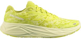 Кроссовки мужские SALOMON AERO GLIDE 2 (Sulphur Spring)