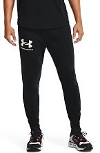 Брюки мужские Under Armour Rival Terry Jogger