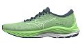 Кроссовки мужские Mizuno WAVE RIDER 26 - фото № 1