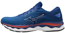 Кроссовки мужские Mizuno WAVE SKY 6