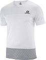 Футболка мужская SALOMON SENSE TEE M - фото № 1
