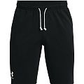 Шорты мужские Under Armour UA RIVAL TERRY SHORT (001) - фото № 4