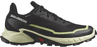 Кроссовки женские SALOMON ALPHACROSS 5 GTX W (Black/Tyello/Sun)