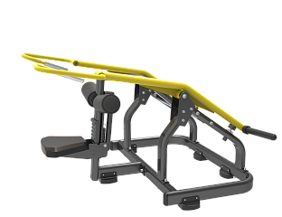 BRONZE GYM PL-1712 Трицепс