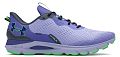 Кроссовки Under Armour UA U Sonic TR (500) - фото № 1